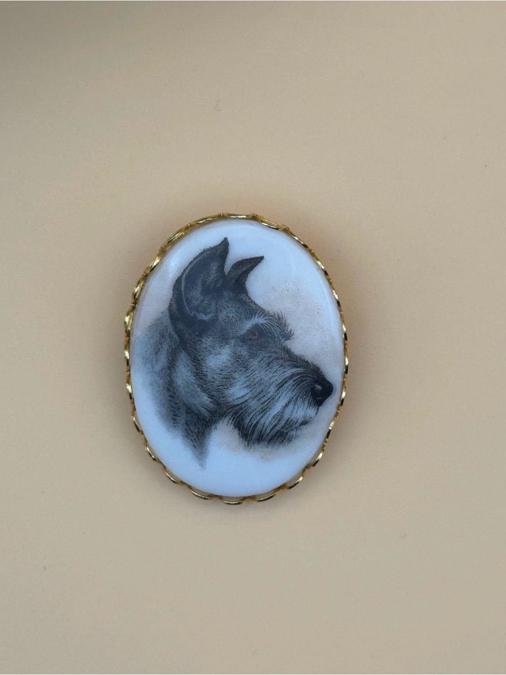 Vintage Dog Portrait Cameo Brooch in Gold Trim